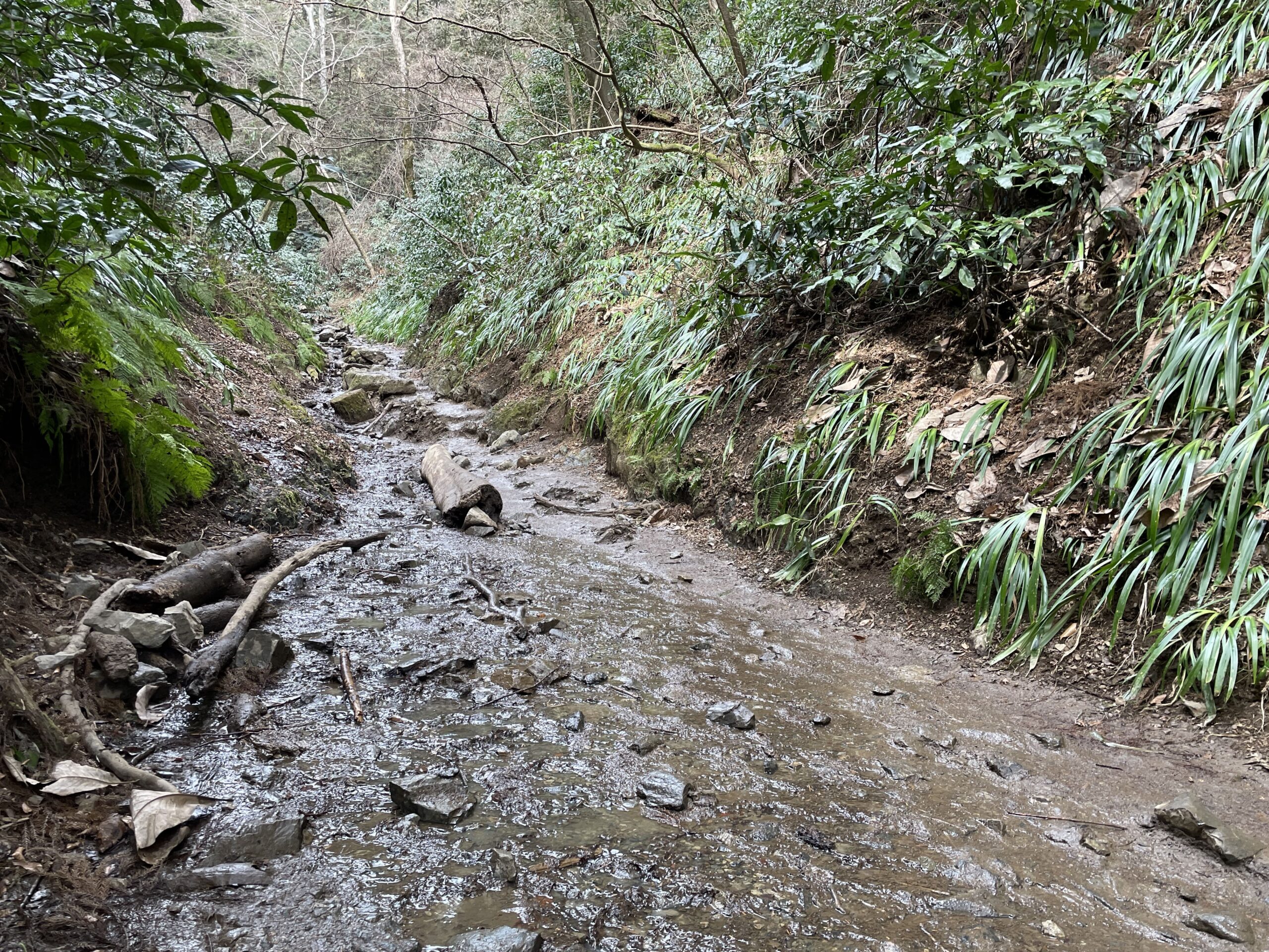 山道